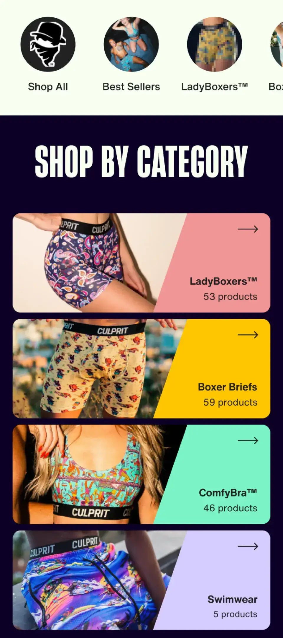 6679cb1ca41da5d6b85815f7_Culprit-After